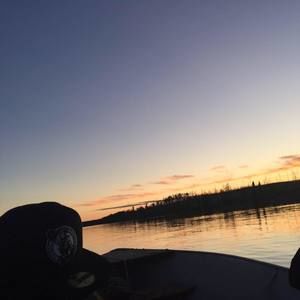 Meet your Posher, Leo